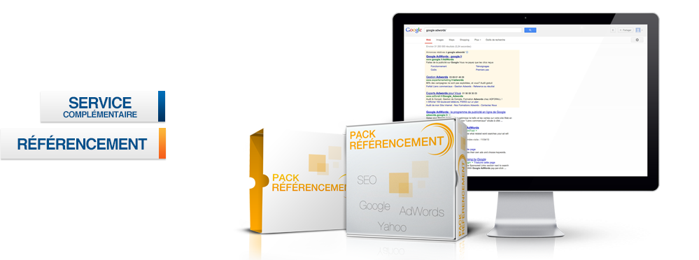 Pack Referencement web